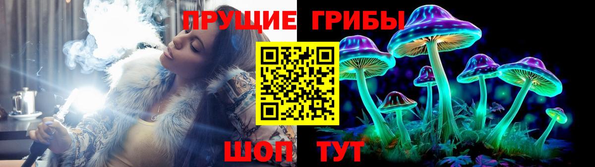 Благодарный  Галлюциногенные грибы Psilocybe  Вход с VPN  Псилоцибиновые грибы мицелий 
